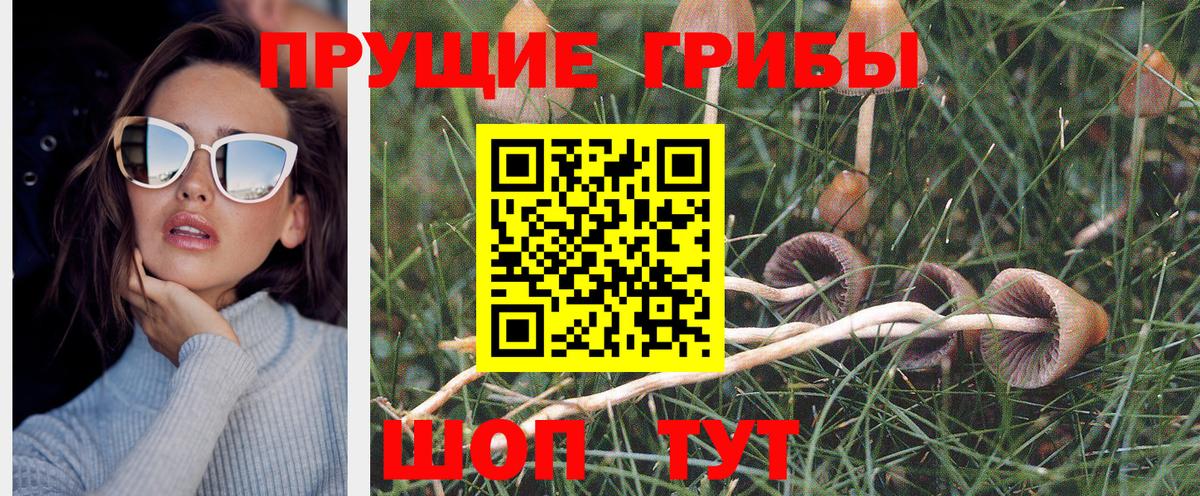 Вятские Поляны  Псилоцибиновые грибы мухоморы  Вход с VPN 
