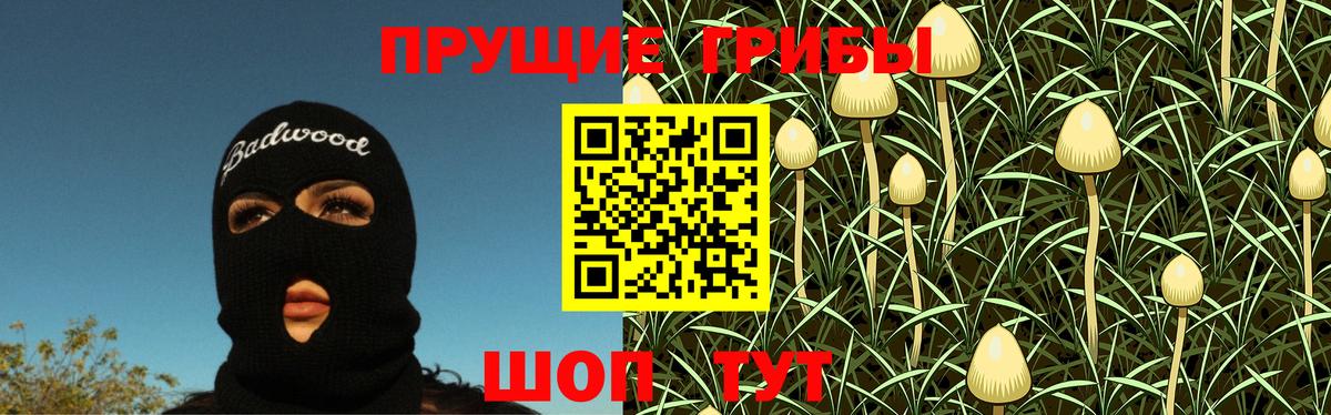 Псилоцибиновые грибы MAGIC MUSHROOMS Вятские Поляны